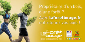 Réunion d'information : optimiser la gestion de ses bois avec "La Forêt Bouge" @ Bureau CRPF d'Albertville | Albertville | Auvergne-Rhône-Alpes | France