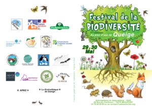 Festival de la biodiversité - Plan d'eau de Queige - UFP 73 Arlysère @ Plan d'eau de Queige